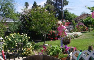 Phyllis Mentch