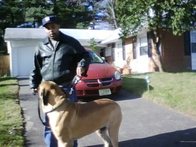 Kelvin Tanner