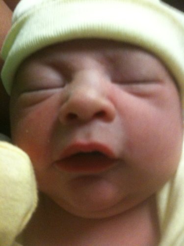 Steven Lewis