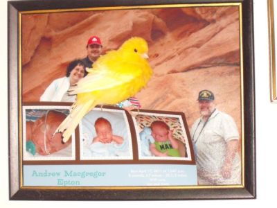 Patricia Hairston