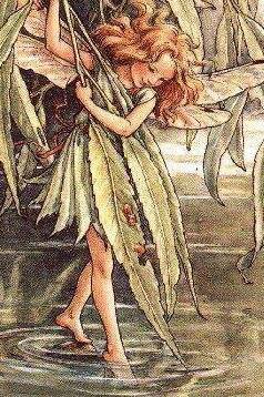 Linda Unger