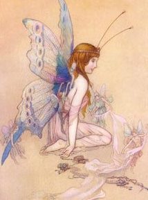 Alayne Fellows