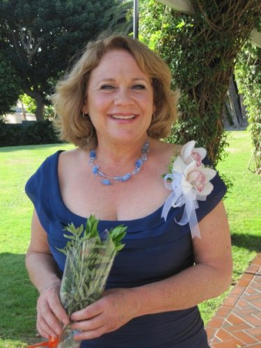 Terri Weiland