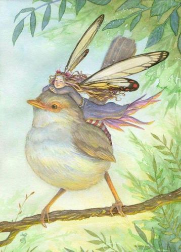Debra Hilton