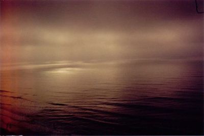 Ann Umfleet