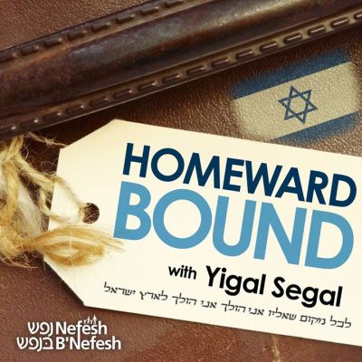 Yigal Segal