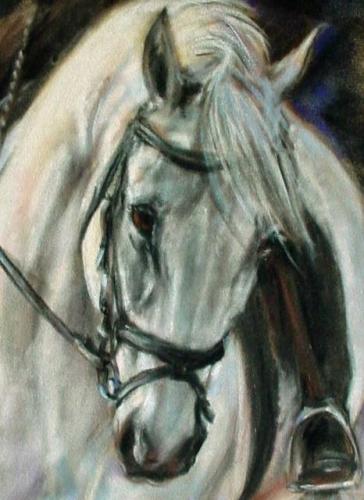 Carol Swartz