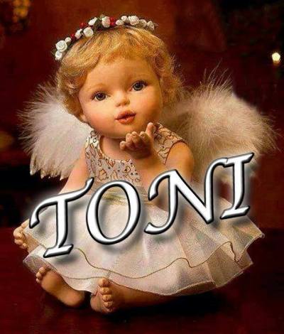 Toni Scroggins