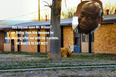 Von Wilson