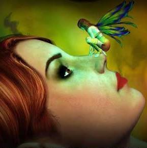Beti Ardon