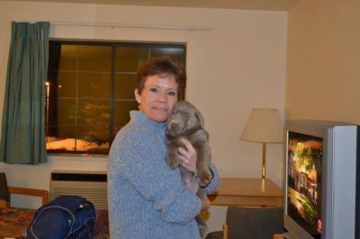 Mitzi Platts