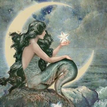 Carol Schmalz