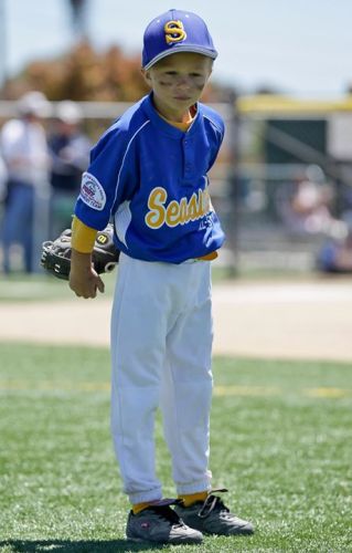 William Rees