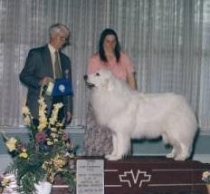 Barbara Bowes