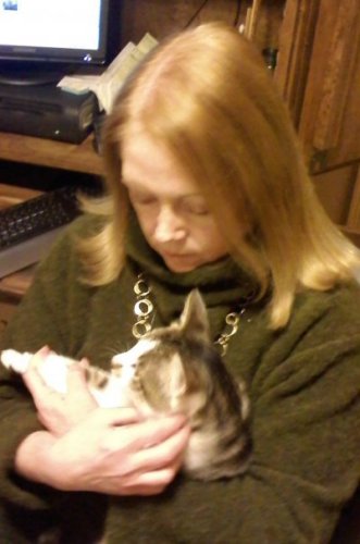Sheilah Mcadams