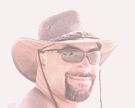 Robert Gibson