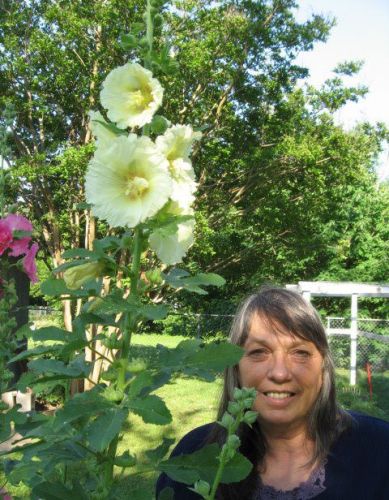 Donna Brendle