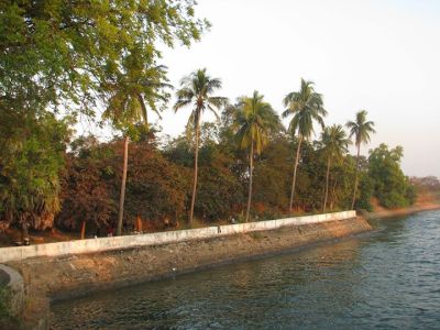 Biswajit Pattnaik