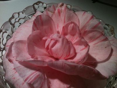 Deborah Booth