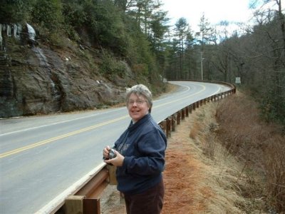 Susan Meek