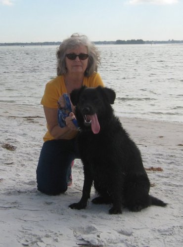 Janet Herlihy