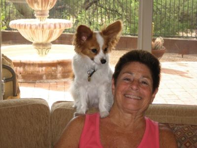 Susan Greendorfer