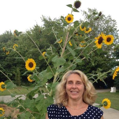 Jill Okeefe