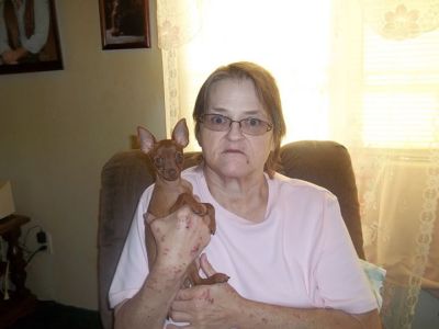 Teresa Shannon