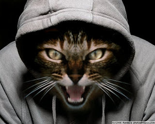 Catrenia Henry