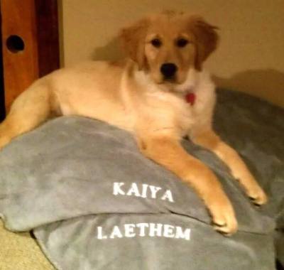 Danny Laethem