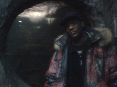 Timur Harris