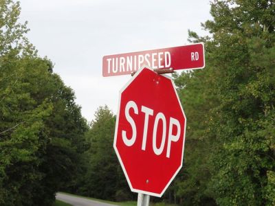 Timothy Turnipseed
