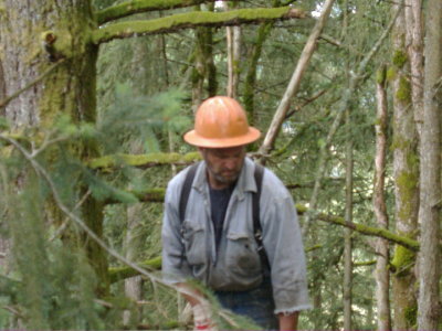 Steven Qualey
