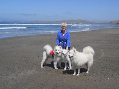 Sharlene Hinshaw