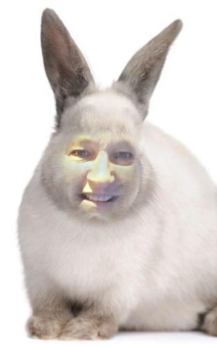 Patricia Roser