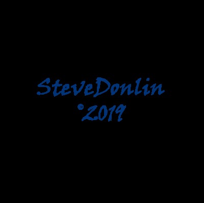Stephen Donlin