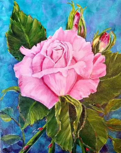 Susan Creaney