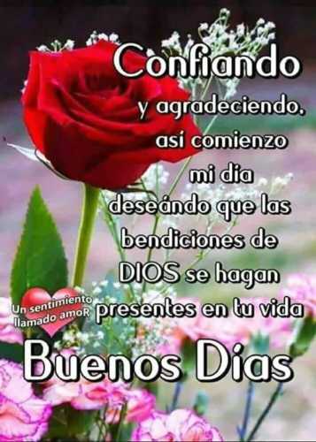 Jose Soza