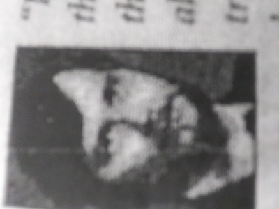 Timothy Rasico