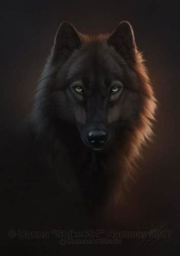 Scott Stevenson