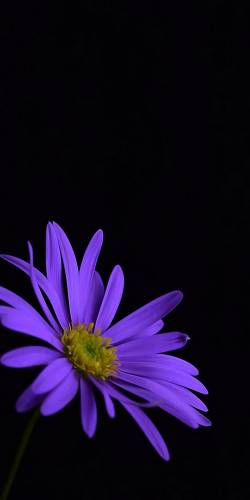 Tammy Wilson