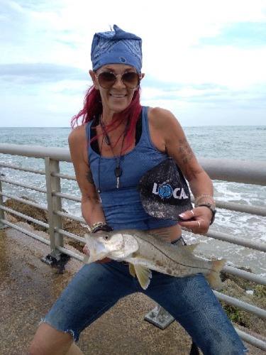 Laurie Franta