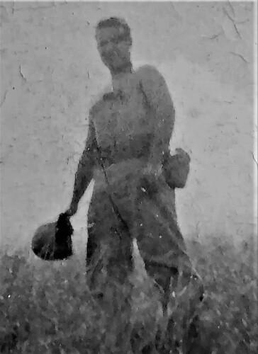 Albert Verzella