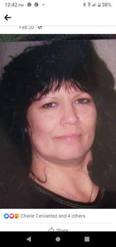 Kelly Montalvo