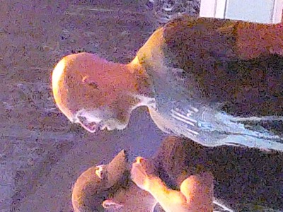 Kevin Amos